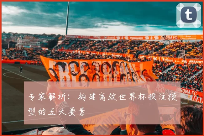 专家解析：构建高效世界杯投注模型的五大要素
