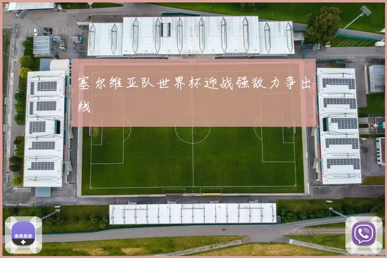 塞尔维亚队世界杯迎战强敌力争出线