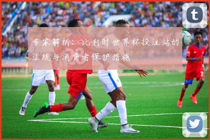 专家解析:比利时世界杯投注站的法规与消费者保护措施