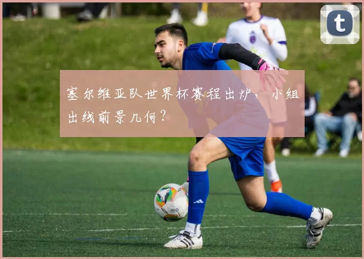 塞尔维亚队世界杯赛程出炉，小组出线前景几何？