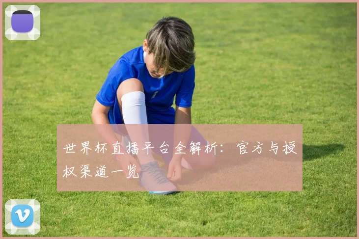 世界杯直播平台全解析:官方与授权渠道一览