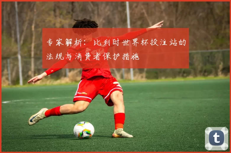 专家解析：比利时世界杯投注站的法规与消费者保护措施